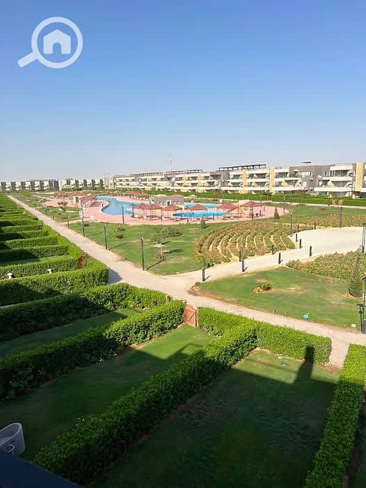 4 595920237_867895582377802_7828887530871892373_n. jpg