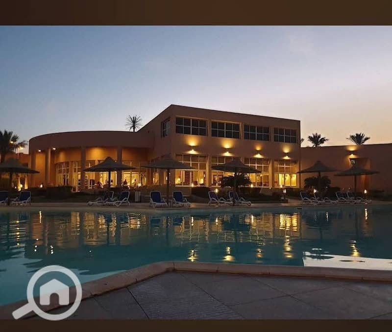 3 596818282_2645590465823140_8893237607466492357_n. jpg