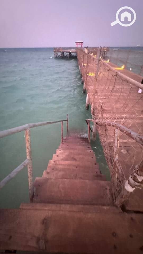 12 536273239_23924812173886788_8919411530965510691_n. jpg