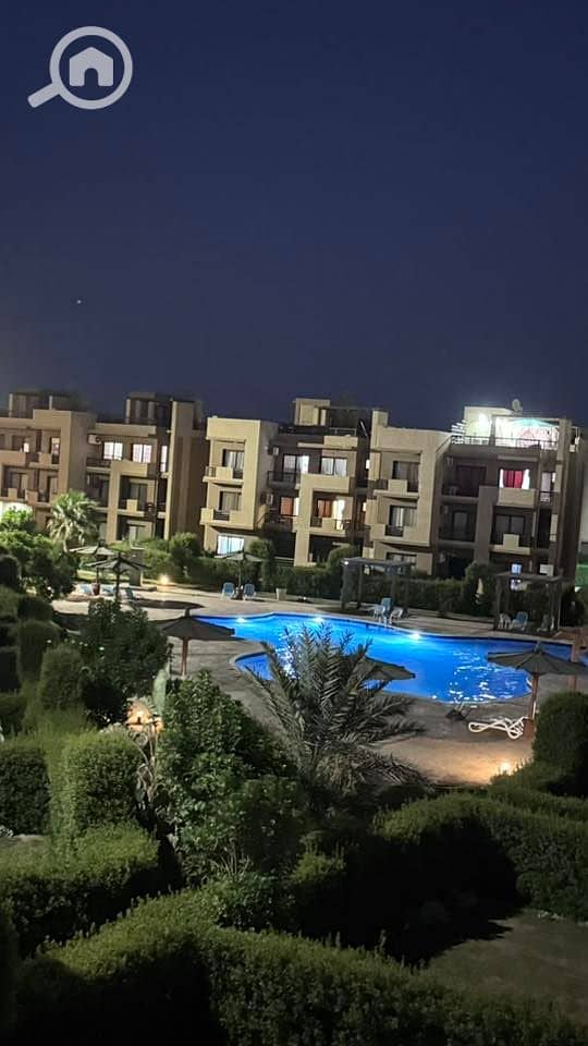 13 536285285_23924808393887166_7777475392732637933_n. jpg