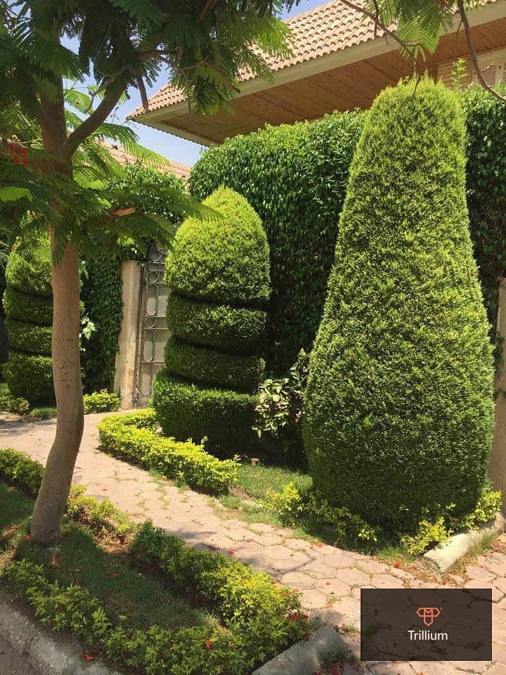 11 519524943_594882547028110_6768714724777139940_n. jpg