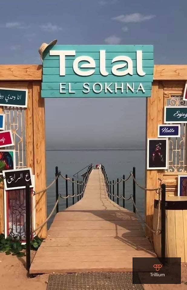 11 468549596_3461696774124369_7229356627064909211_n. jpg