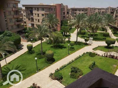 2 Bedroom Apartment for Rent in New Cairo, Cairo - 1000691344. jpg