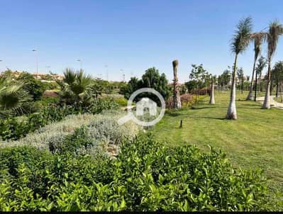 2 Bedroom Apartment for Sale in Madinaty, Cairo - IMG_2793. jpg 2 Bedroom Apartment for Sale in Madinaty, Cairo - IMG_2793. jpg