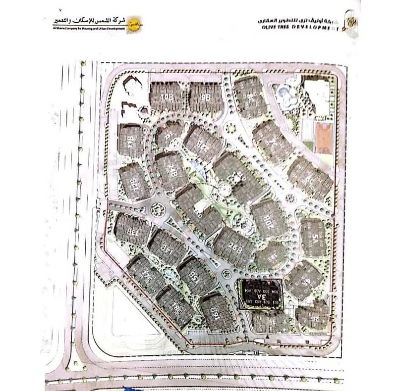 3 493731395_122203153724046669_4122110040070955794_n. jpg