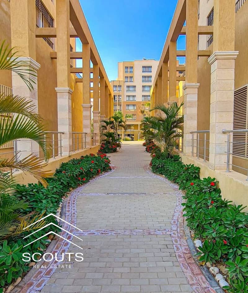 8 539596520_24005590395804143_7452363907994867901_n. jpg