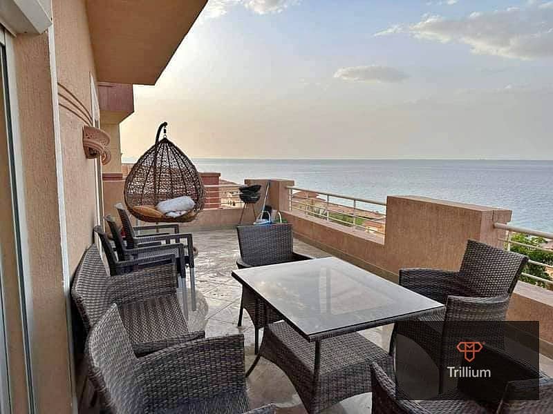 7 467700224_122195561948059670_1908113958953224026_n. jpg