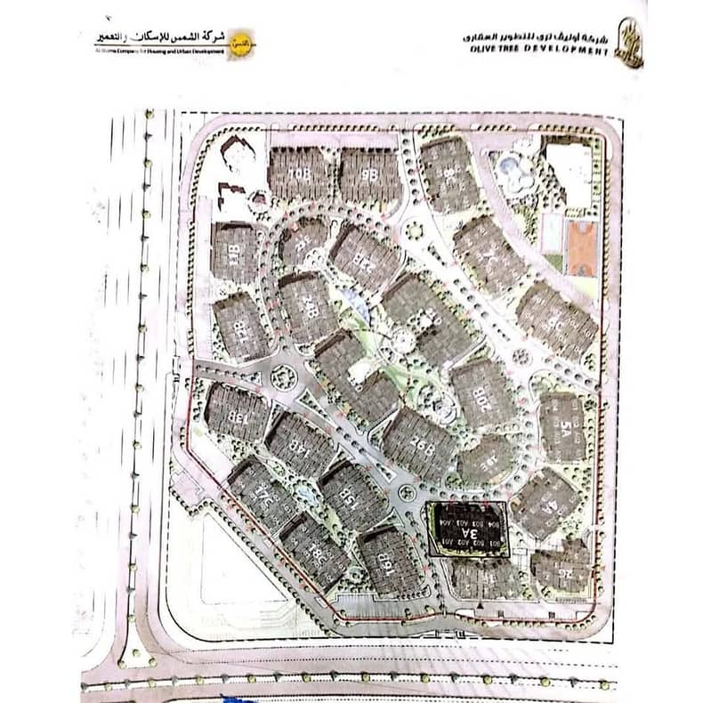 3 493731395_122203153724046669_4122110040070955794_n. jpg