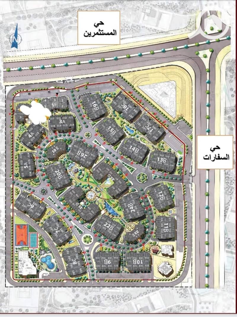 7 503309231_24820036700918679_6968168121673844666_n. jpg