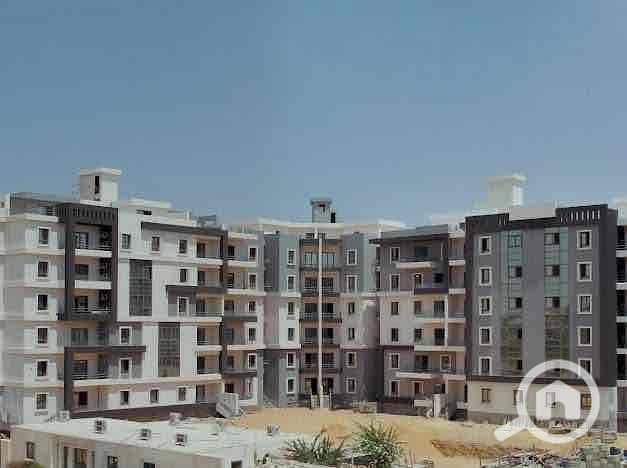 5 34c20fab-0d51-46bb-ba1a-74847848b9d2. jpg