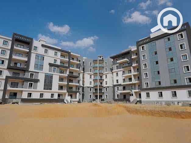 7 2377e7e8-9e7d-4533-a88b-4fb3c29702f0. jpg