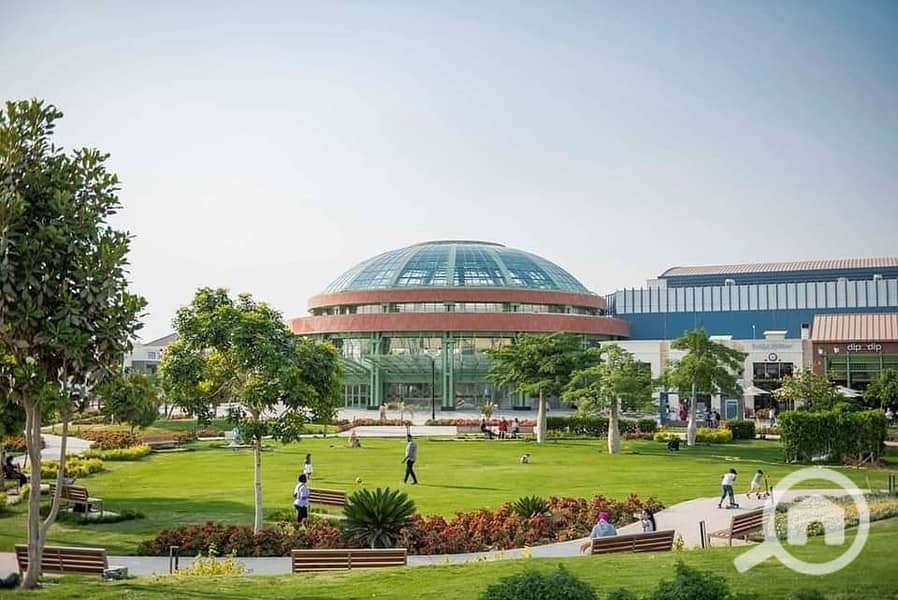 5 316424615_5734372593285764_4917198185680945830_n(1). jpg