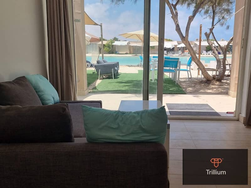 4 453506811_3817515125150347_236282181434617790_n. jpg