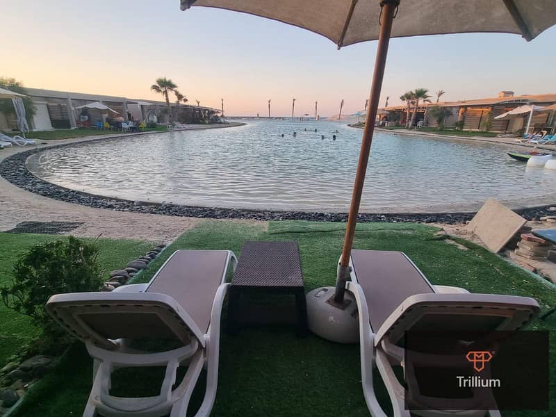 6 453407694_3817135585188301_4352200820023101716_n. jpg