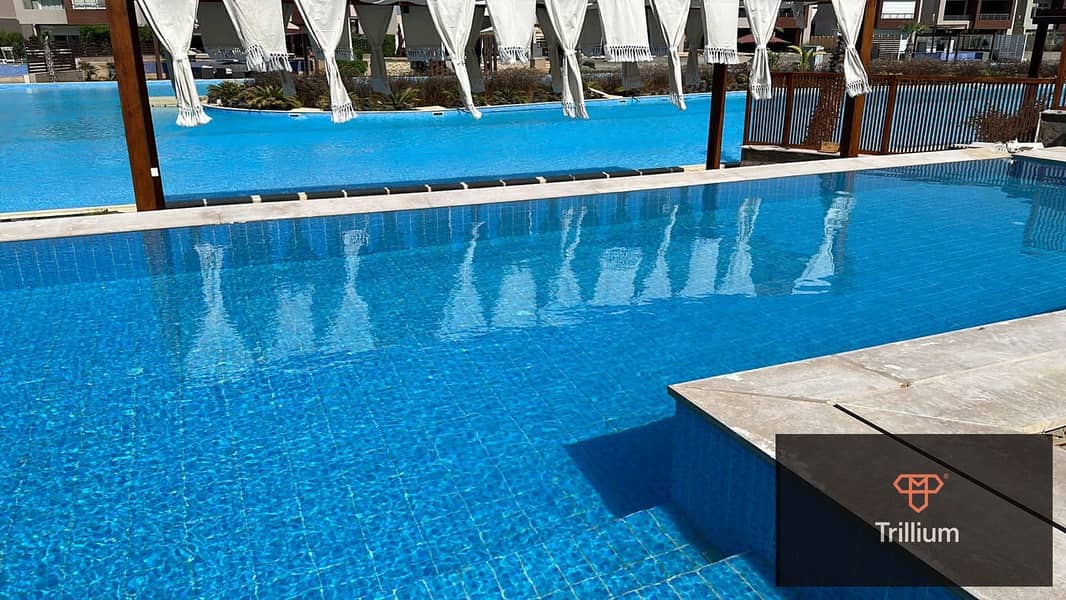 7 482134054_1375165730602024_720008984743251528_n. jpg