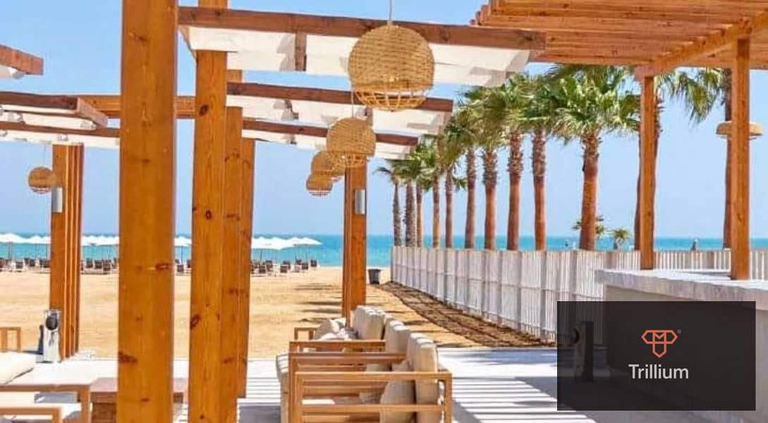 12 475998754_501309859669527_4676291145909458389_n. jpg