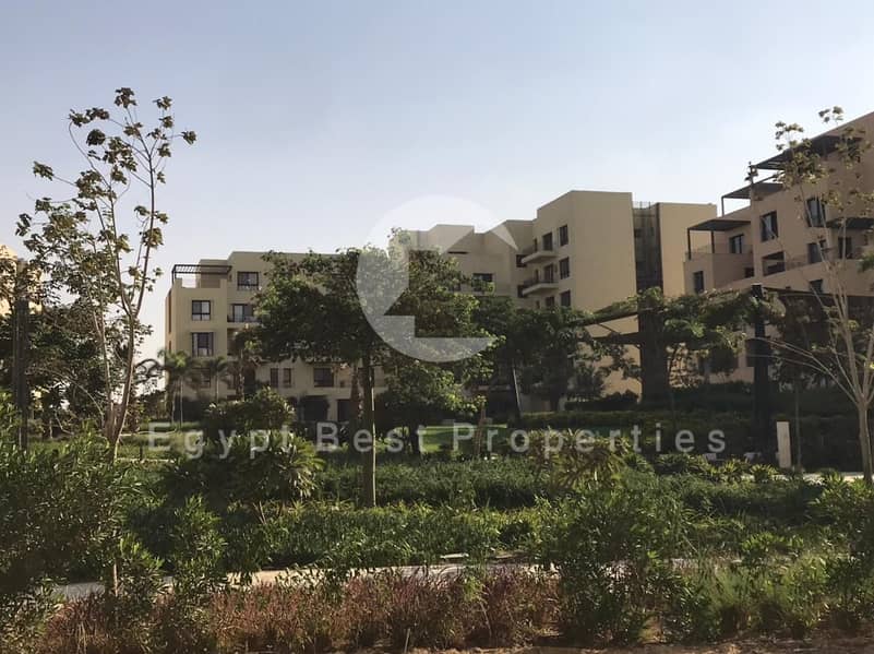 3 0ac39aa0-0ca3-4fe3-9413-40d6aaf3afbb. jpeg