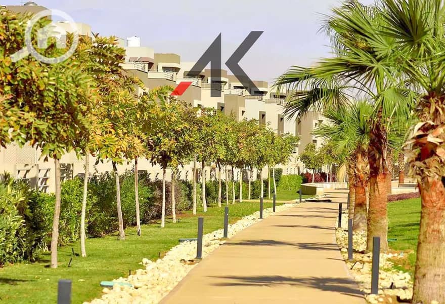 7 1285281-b5acbo_InPixio. jpg