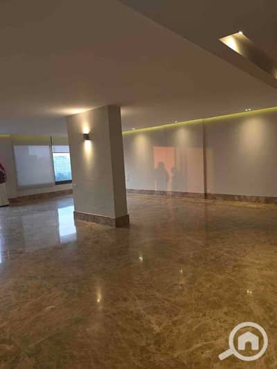 فلیٹ 3 غرف نوم للايجار في الزمالك، القاهرة - c3a77b36-9e84-4251-8d89-d06604955e92. jpg