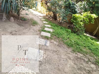 Office for Rent in Maadi, Cairo - 1000046317. jpg