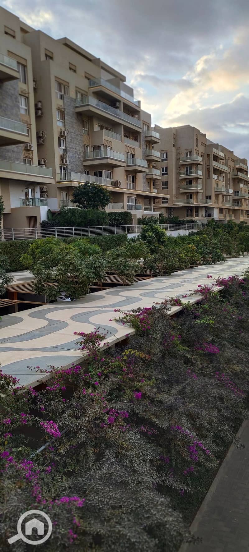 3 IMG_٢٠٢٥١٢٢٩_١٦١٧٤٧. jpg