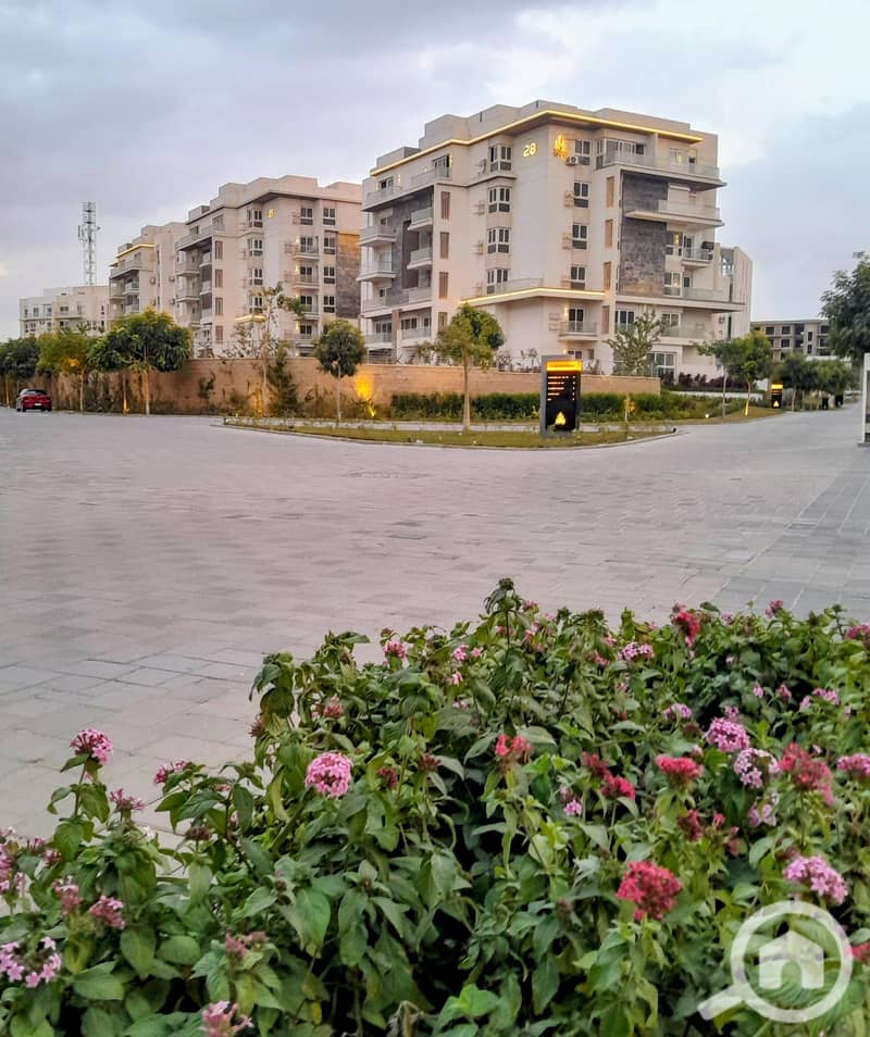 9 IMG-20251230-WA0174~2. jpg