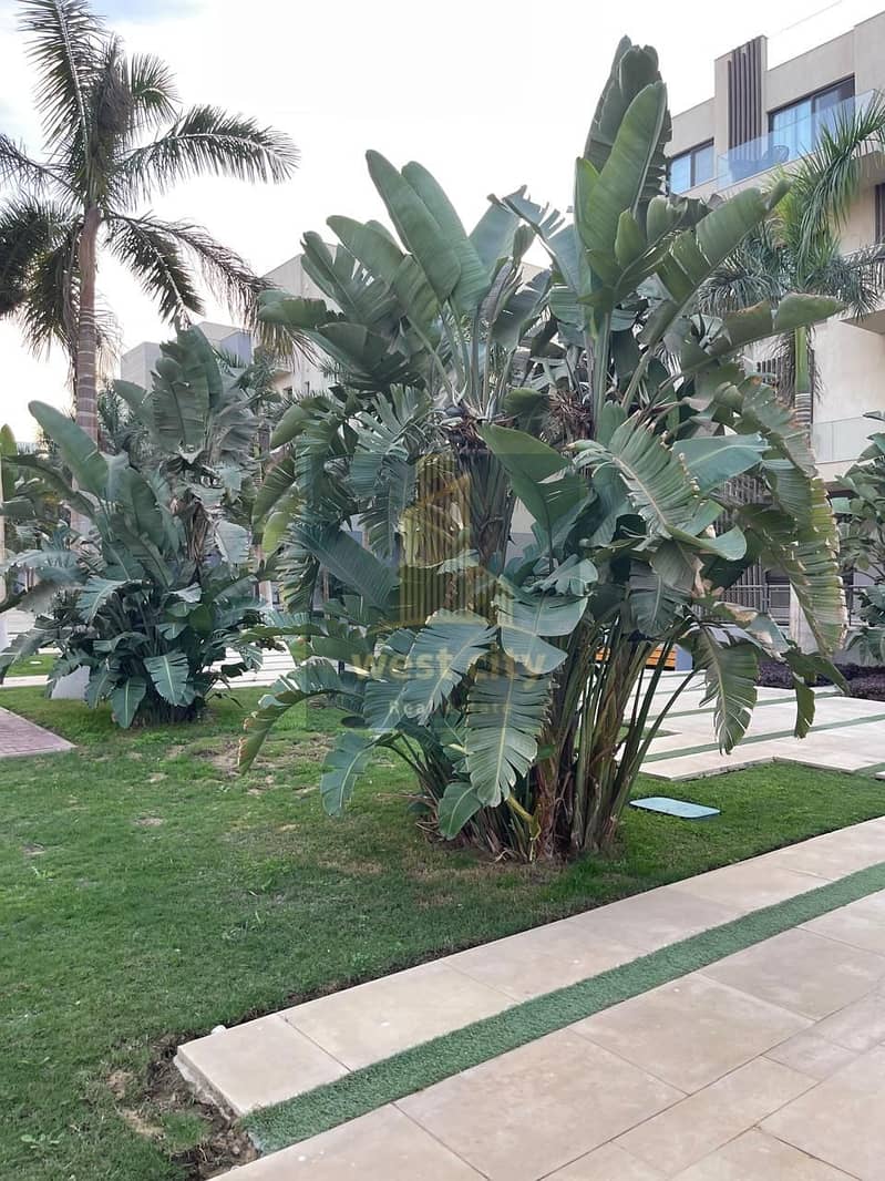 4 IMG-20260108-WA0019. jpg