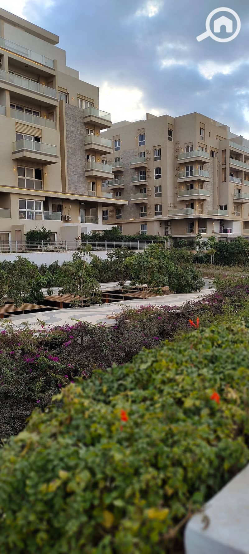 8 IMG_٢٠٢٥١٢٢٩_١٦٢٣٢٩. jpg