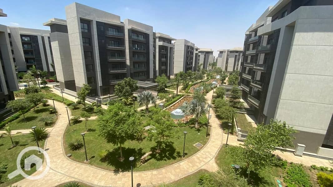 16 926d7745-4543-44e4-9e73-6c661a5a3e6c. jpeg