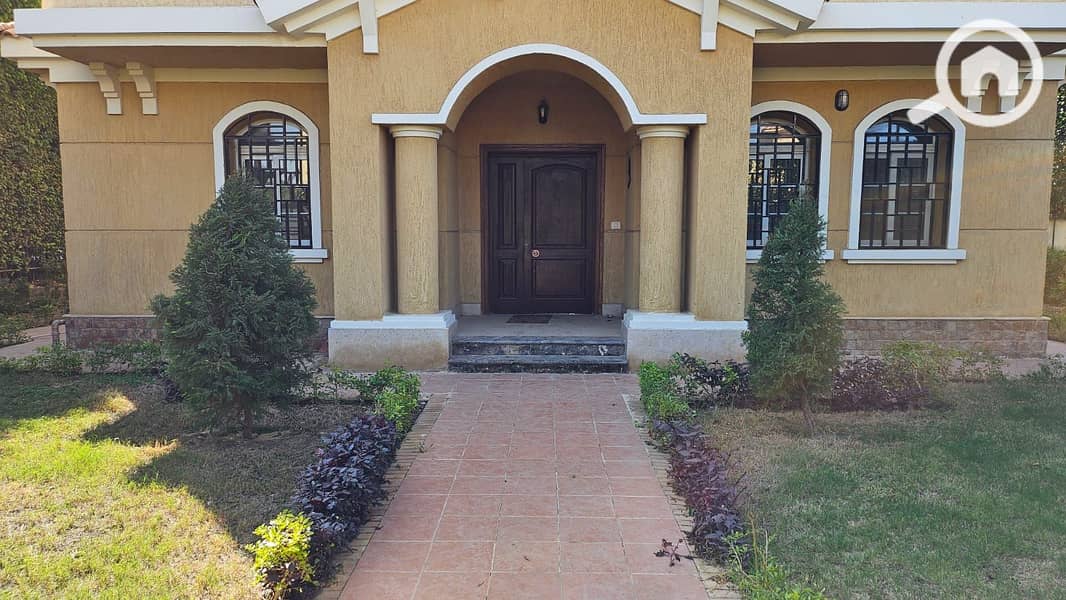 29 e9924868-d916-407d-8235-ffcd3b5373ff. jpeg