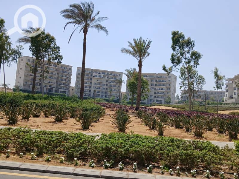 5 3a11b06a-c899-4f0e-a5c7-d721f341a205. jpg