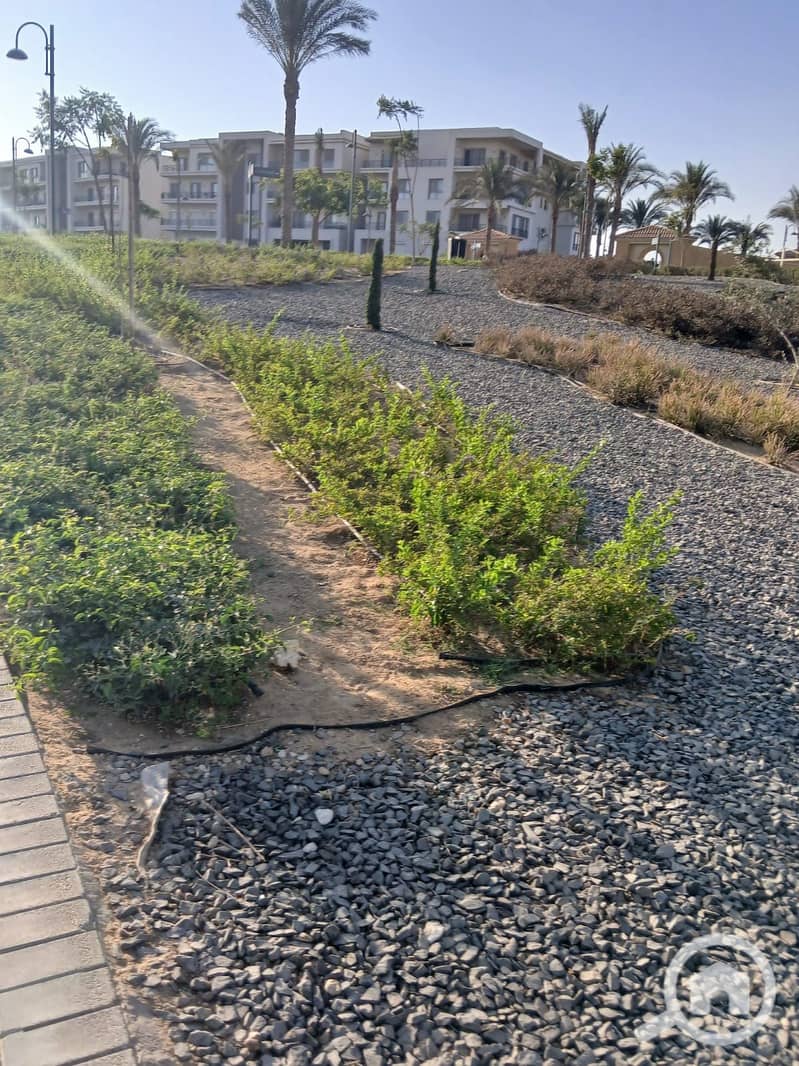 7 3edd7e61-92ee-4f1f-a1dc-104bd58f669f. jpg