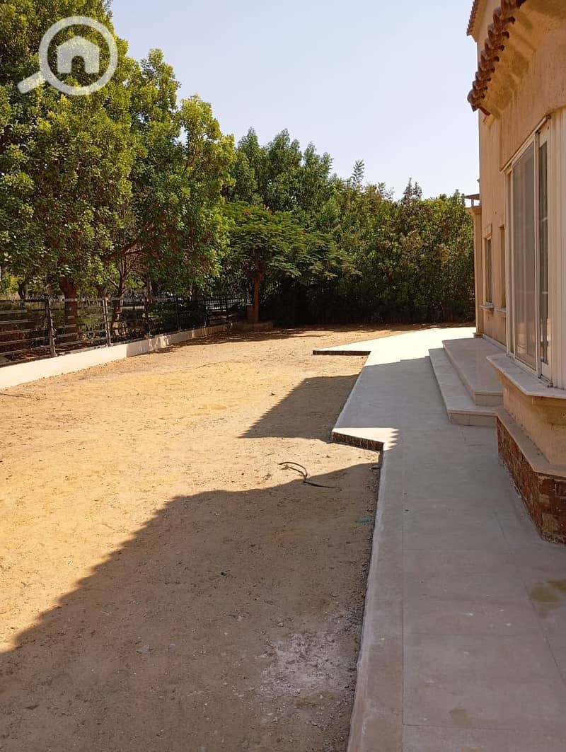 12 b397fddd-960b-47cf-881a-402be934a645. jpeg