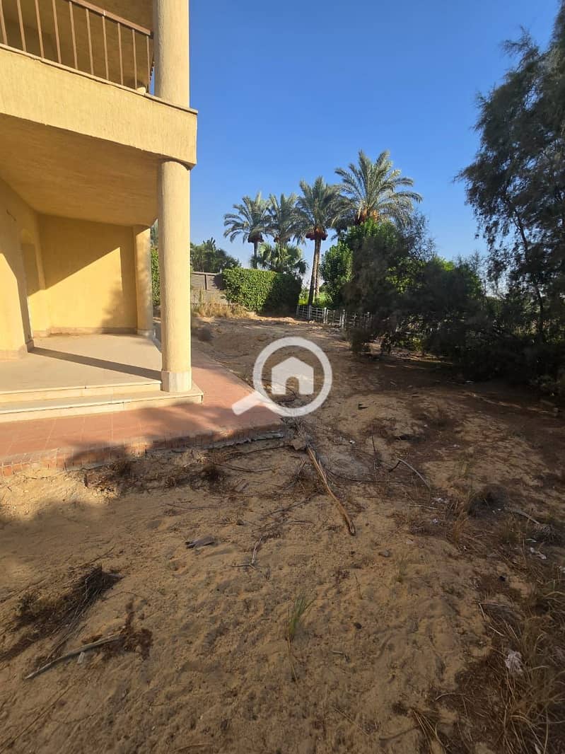 15 bb3c7eda-7626-4328-af70-538e46536fde. jpeg