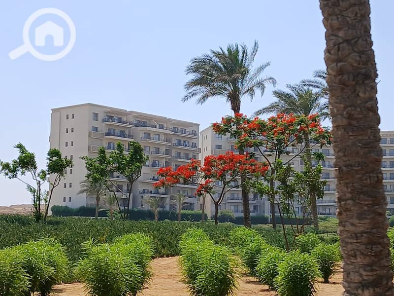 7 d7086e27-30bf-40df-a873-d8ffe89c6fe7. jpg