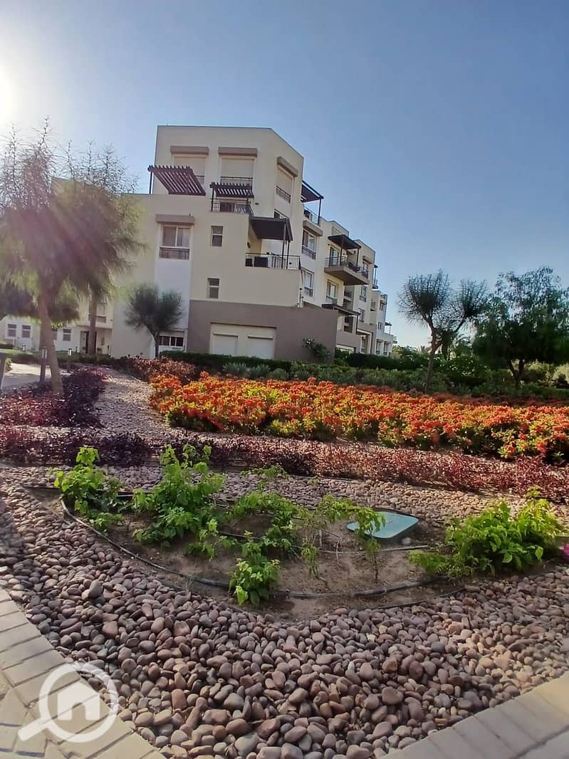 3 6fff84fd-5745-47a7-9e41-d92c25e255f9. jpg