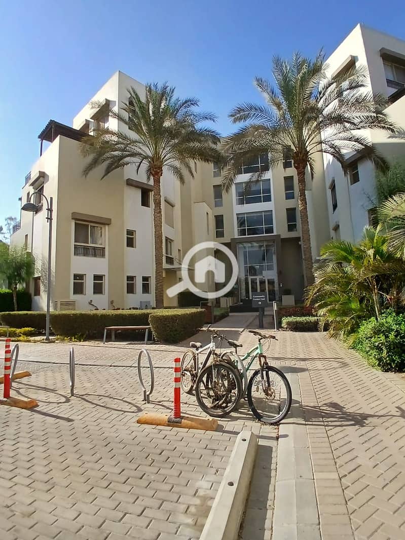 5 51e934f1-09b2-419a-a3c2-d5f3be3c99ae. jpg