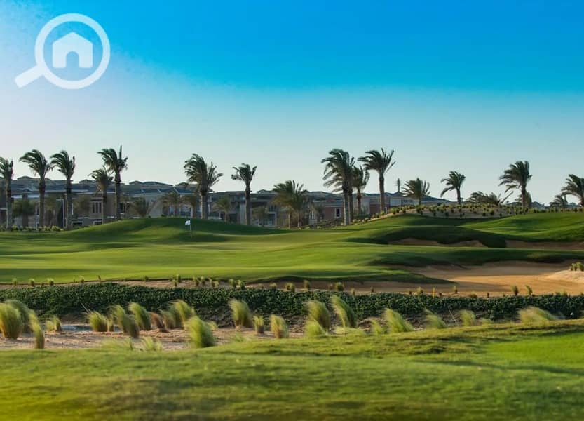 7 NEWGIZA Photo. jpg