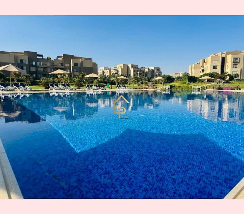 6 711705270 (1). jpg