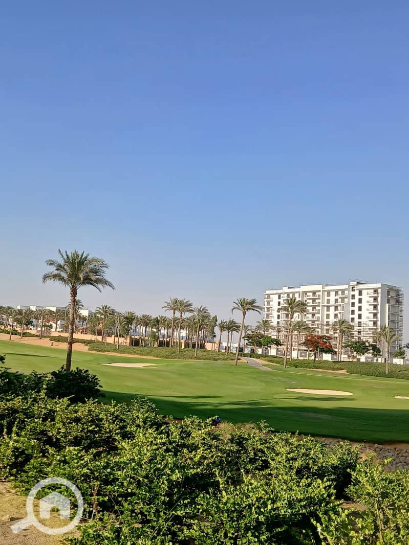 4 6ed62b94-ba9a-4355-b4c0-845e26adfd7b. jpg