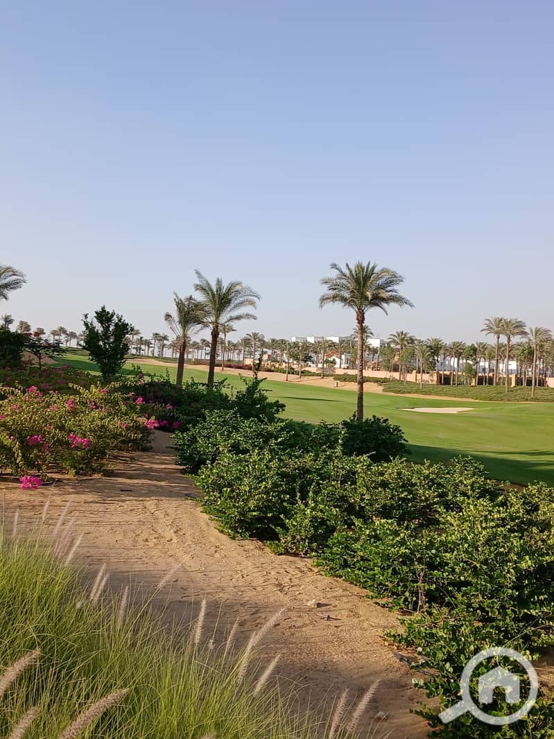 7 7e23924c-c51f-4cf3-bd63-af20d9d8e1d7. jpg