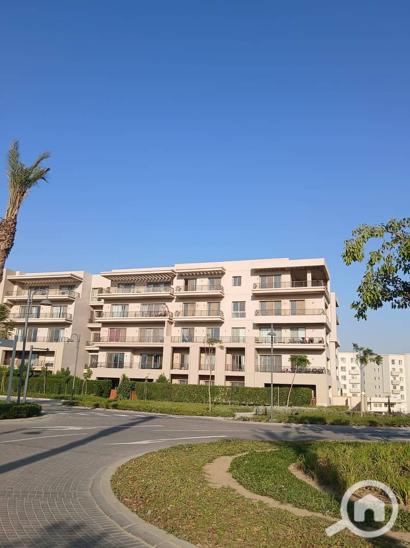 10 fef60304-1495-46a5-ab1c-2519b20479e4. jpg