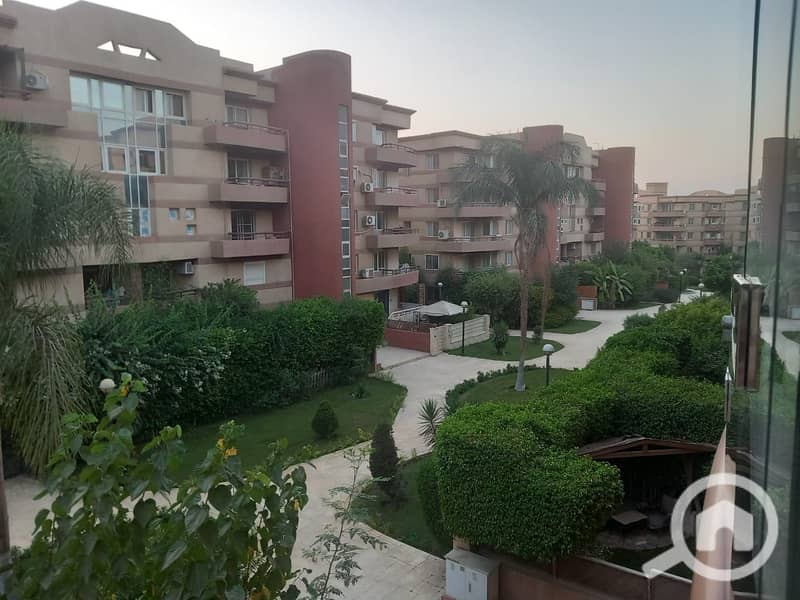 7 1775aa16-b48c-4786-a448-ed4e07f7be88. jpeg