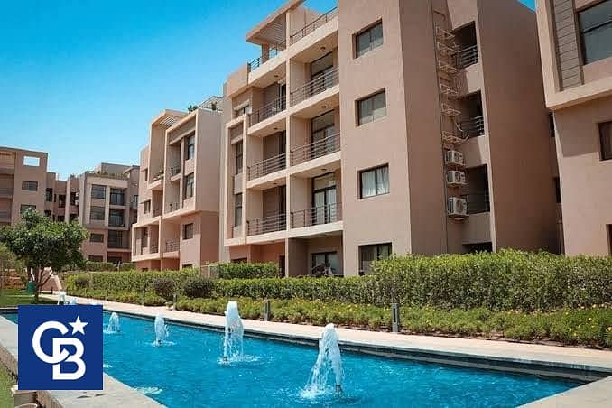 8 549424639_122232101738155722_7496436321837421365_n. jpg