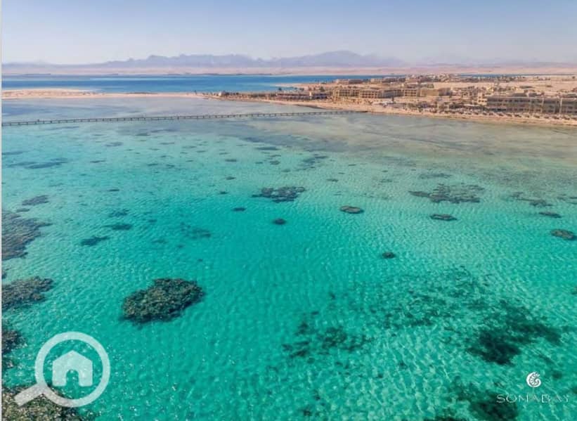 10 Screenshot_27-2-2024_14495_. jpeg