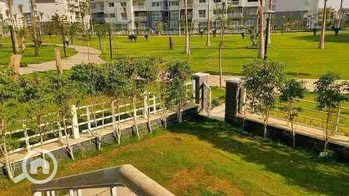 1000847355. jpg 1000847355. jpg