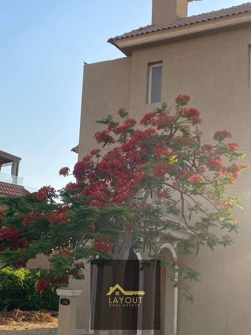 3 4aedd564-29ef-42d0-8629-4937c1f079a7. jpg