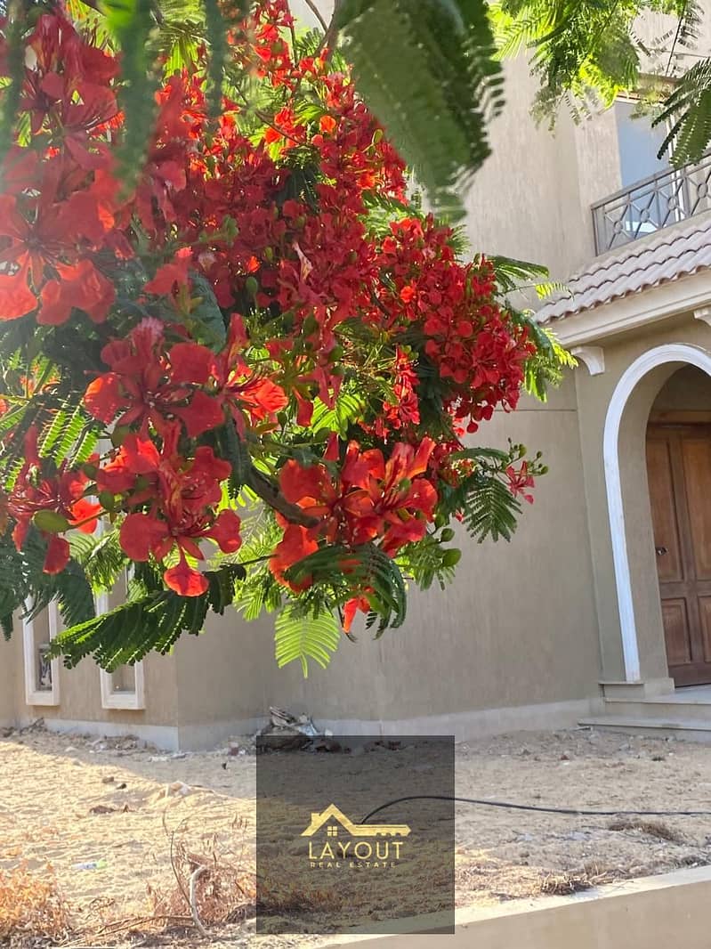 4 aa2ddcf2-5c19-4a4f-ae9c-eff6c468ef7b. jpg