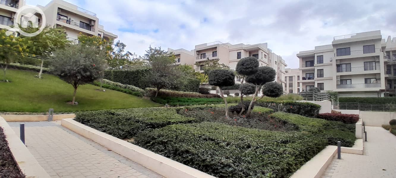 3 20251229_142712. jpg