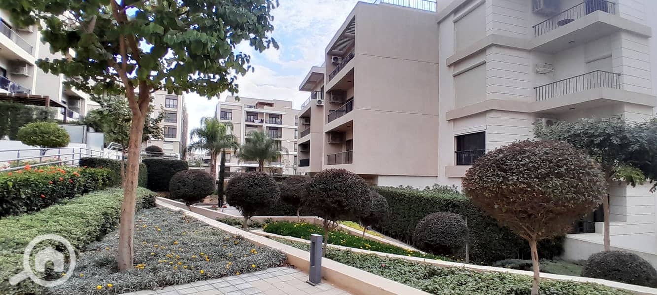 4 20251229_141342. jpg